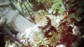 SophieLens_2013_06_03_13_56_27.jpg